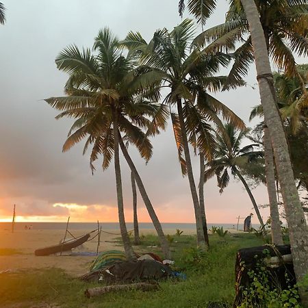 Shoreline Marari Beach Villa At Golden Beach Mararikulam アーラップーザ県 エクステリア 写真
